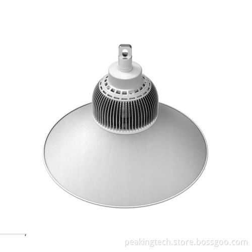Compact 100W LED Garden Lamp with CE, Cff, RoHS (GK100)